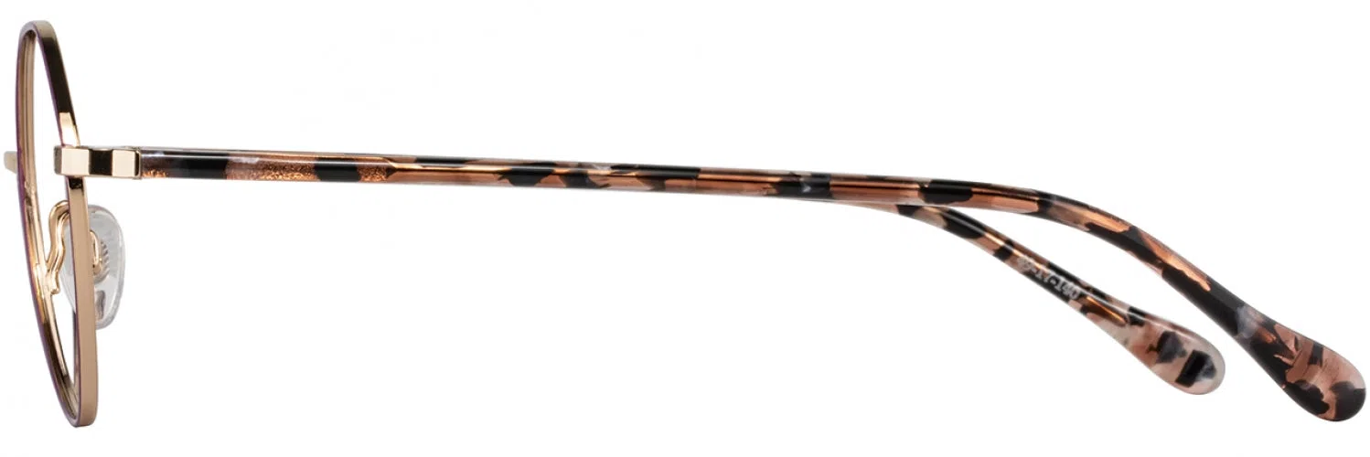 Alan J AJ524 Eyeglasses - view 17